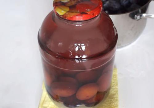 Компот из слив на зиму с косточками без стерилизации. Компот из сливы с косточками на зиму