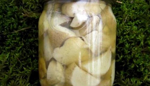 Консервируем белые грибы. Как вкусно замариновать белые грибы на зиму с 9% уксусом