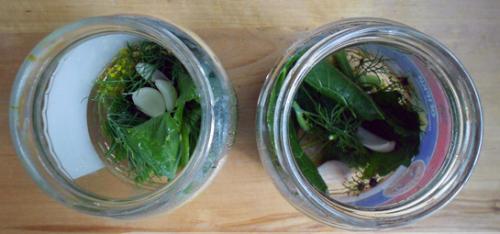 Как засолить огурцы в 3х литровой банке. Как посолить огурцы на зиму — самые простые пошаговые рецепты. Засолка огурцов на 1 литр и 3 литровую банку