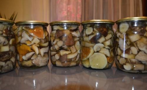 Как заготовить грибы на зиму. Грибы на зиму. Вкусные рецепты грибных заготовок в банках