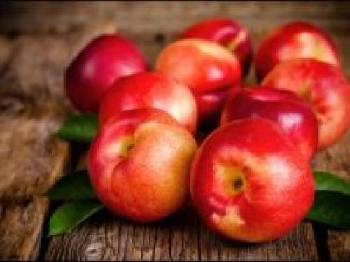 Домашние заготовки из нектарина. Рецепты