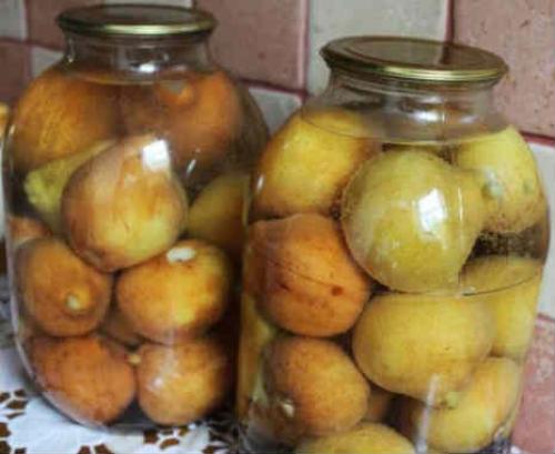 Груши консервирование на зиму. Консервированные груши половинками: рецепт 26