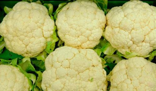 Почему нельзя сажать лук после овса. Что сажать после лука на следующий год