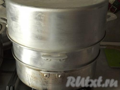 Виноградный сок на зиму через соковыжималку. Виноградный сок без пресса, соковыжималки и соковарки 15