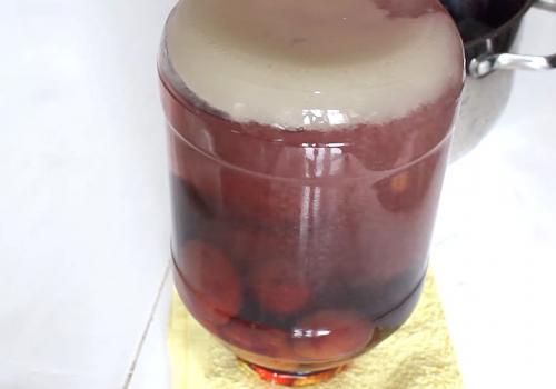 Компот из слив на зиму с косточками без стерилизации. Компот из сливы с косточками на зиму