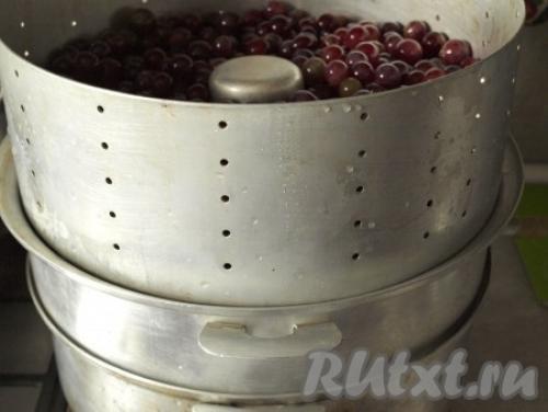 Виноградный сок на зиму через соковыжималку. Виноградный сок без пресса, соковыжималки и соковарки 13