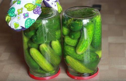 Как солить огурцы на зиму в литровых банках. Засолка огурцов на зиму в 2 и 3 литровых банках. Солим хрустящие огурцы