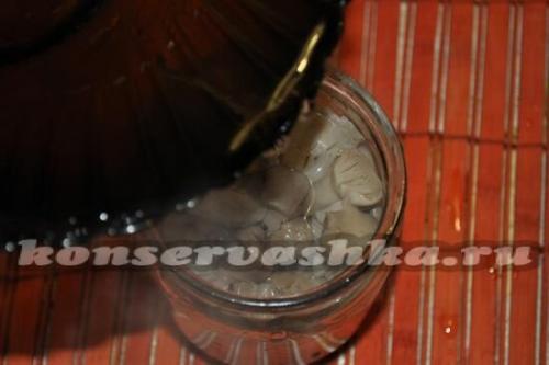 Как мариновать грибы синяя ножка. Маринованные грибы синеножки на зиму