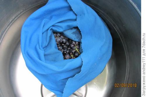 Виноградный сок на зиму через соковыжималку. Виноградный сок без пресса, соковыжималки и соковарки