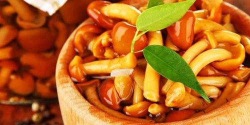 Консервирование грибов на зиму в банках. Как мариновать грибы на зиму в банках и сколько они хранятся