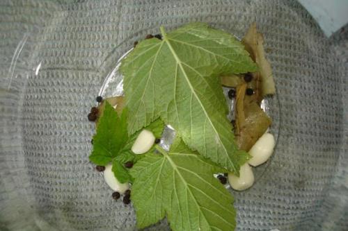 Как засолить огурцы в 3х литровой банке. Как посолить огурцы на зиму — самые простые пошаговые рецепты. Засолка огурцов на 1 литр и 3 литровую банку