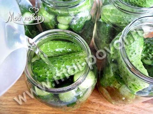 Семя горчицы применение в консервировании огурцов. Приготовление маринованных огурцов с семенами горчицы 03