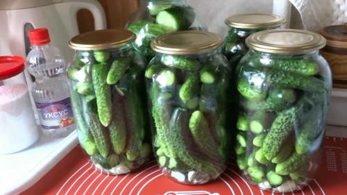 Маринованные большие огурцы рецепт на зиму хрустящие. Как замариновать большие огурцы на зиму 03