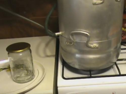 Виноградный сок с мякотью на зиму. Как приготовить сок из винограда в соковарке: