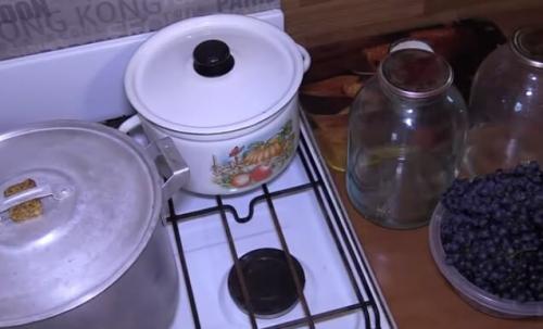 Виноградный сок на зиму через соковыжималку. Виноградный сок без пресса, соковыжималки и соковарки 37