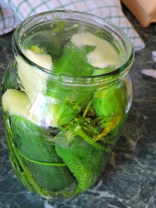 Как солить огурцы на зиму в литровых банках. Засолка огурцов на зиму в 2 и 3 литровых банках. Солим хрустящие огурцы