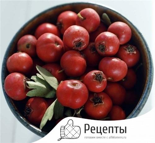 Боярышник сироп приготовление. Сироп из боярышника – вкусно и полезно 04