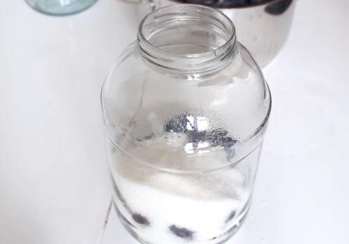 Компот из слив на зиму с косточками без стерилизации. Компот из сливы с косточками на зиму