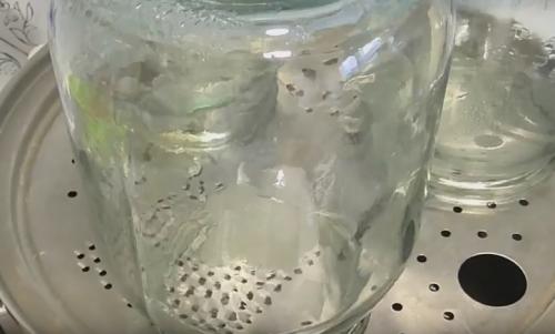 Виноградный сок с мякотью на зиму. Как приготовить сок из винограда в соковарке: