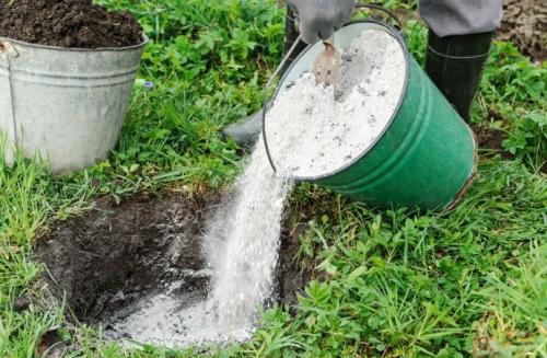 Что такое АКЧ для огорода. АКЧ: что такое, зачем использовать и как приготовить 09