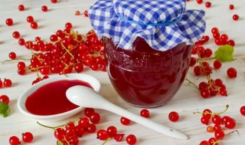 Желе из красной смородины на зиму пятиминутка. Густой джем из красной смородины 5 минутка на зиму — рецепты вкусного смородинового джема, как желе
