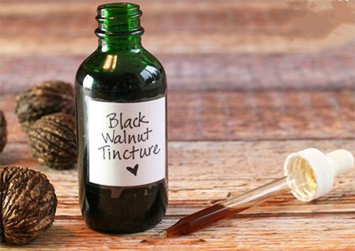 Черный орех в гинекологии. Полезные свойства