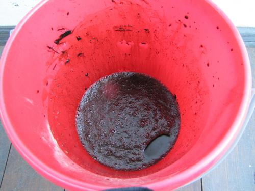 Фитоспорин для яблони. Формы выпуска.