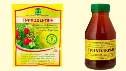 Триходермин или Фитоспорин, что лучше. Триходермин или Фитоспорин —, что лучше: инструкции по применению, отзывы