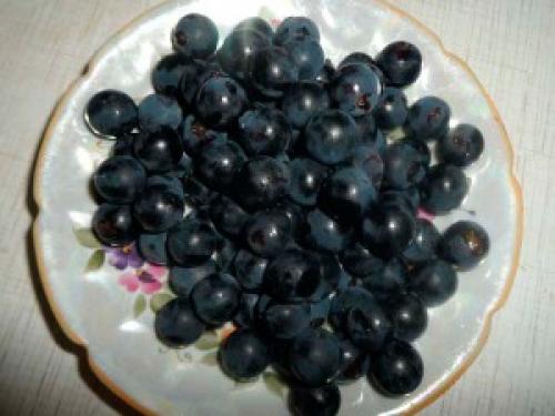 Виноградный сок в мультиварке. Компот из винограда в мультиварке