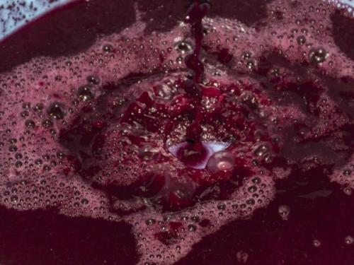 Как приготовить виноградный сок для длительного хранения. Как приготовить и хранить