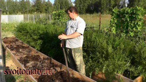 Подготовка высоких грядок к зиме. Как подготовить высокую грядку к зиме