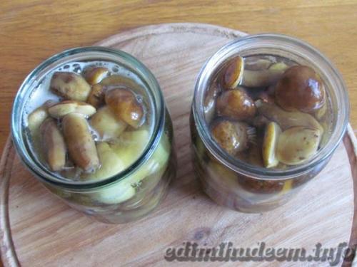 Как мариновать грибы не закатывая. Маринованные грибы рецепт без стерилизации