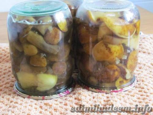 Как мариновать грибы не закатывая. Маринованные грибы рецепт без стерилизации