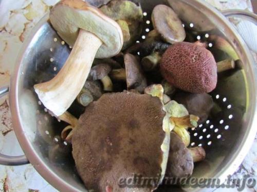 Как мариновать грибы не закатывая. Маринованные грибы рецепт без стерилизации