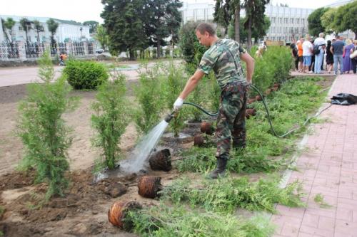 Когда осенью высаживать саженцы плодовых деревьев. Посадка и пересадка деревьев осенью: рекомендации опытных садоводов