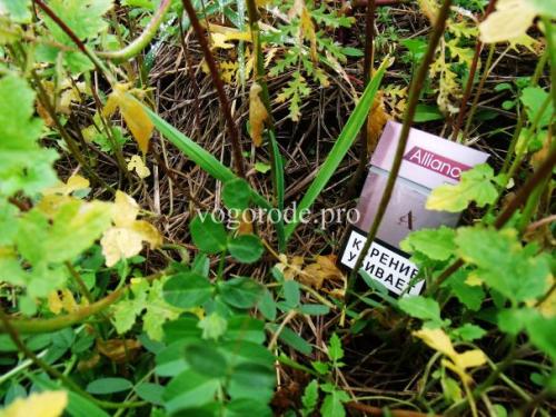Природное земледелие на садовом участке практика читать