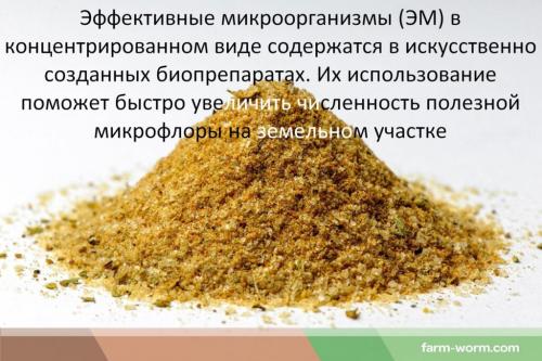 В чем заключается процесс брожения при изготовлении ЭМ препаратов. Биотехнологии в земледелии