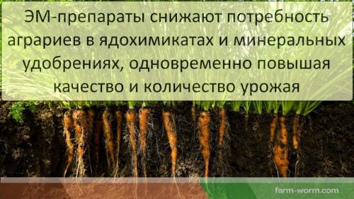 В чем заключается процесс брожения при изготовлении ЭМ препаратов. Биотехнологии в земледелии