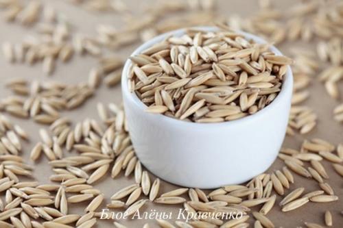 Какие свойства имеет овес. Овес — состав, калорийность. Польза проросшего зерна овса