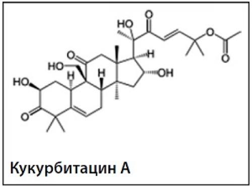 Кукурбитацин. «Секреты» огуречной горечи