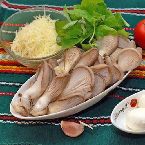 Что делать с грибами вешенки. Что делать с грибами вешенками: рецепты с фото