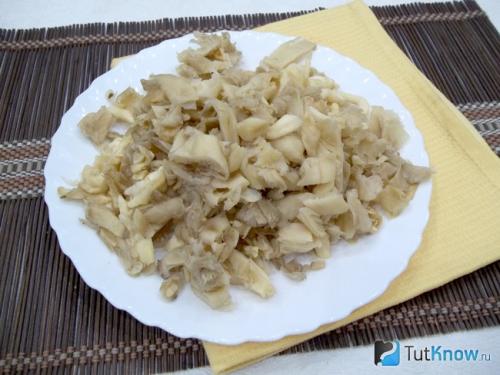 Как приготовить грибы вешенки. Вешенки на зиму - 11 домашних вкусных рецептов приготовления 01