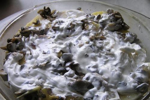 Как приготовить вешенки в духовке. Вешенки, запечённые в духовке: рецепты с фото