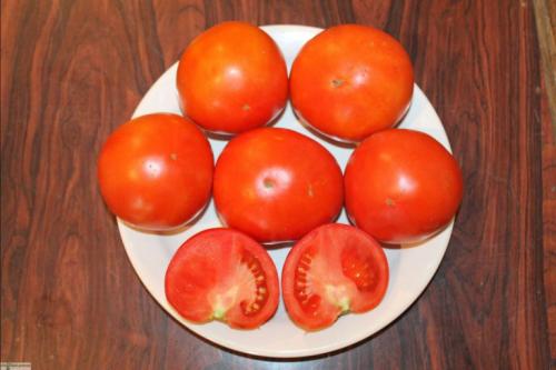 Томат для свежего употребления Дебют F1. Сорт для фермеров и новичков — томат Дебют F1: описание помидоров и особенности их выращивания 02