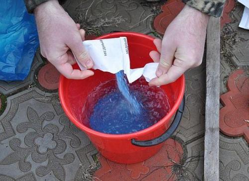 Чем опрыскивать яблони и груши осенью. Как опрыскивать яблоню и другие плодовые деревья осенью: правила и рекомендации