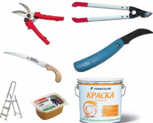 Срез на кольцо. Как делается обрезка на кольцо, на внешнюю или внутреннюю почку 08 Срез на кольцо. Как делается обрезка на кольцо, на внешнюю или внутреннюю почку 08