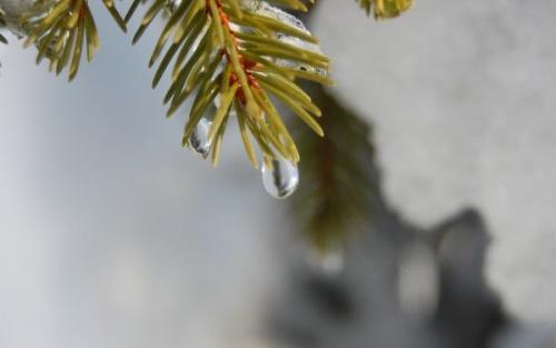 Электрический котел для отопления частного дома. Варианты организации отопления 02