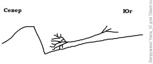 Прикопка саженцев осенью. Прикопка саженцев на зиму. Поэтапно, с фотографиями