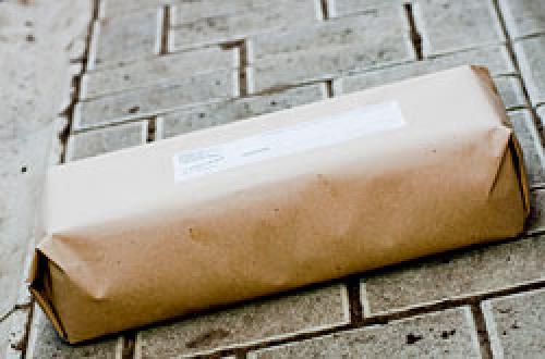 Что делать с саженцами полученными по почте. Как мы готовим саженцы для почтовой пересылки.