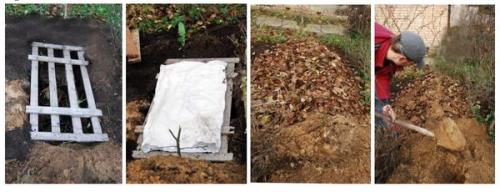 Как сделать прикоп для саженцев. Как сделать прикоп, чтобы сохранить в нём саженцы до весны